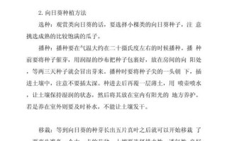 太阳花种植方法和时间（太阳花种种植方法和注意事项）
