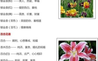 情人梅鲜花花语（情人梅花怎么种植）