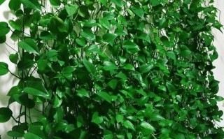 这“3种”水（这3种水果降血糖最快!尤其是第一种）