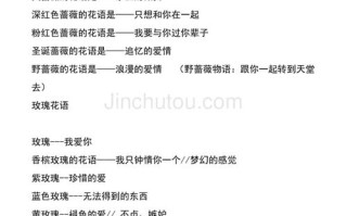 11朵鲜花寓意着什么含义（11朵花语是什么意思）