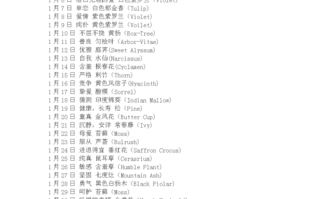 鲜花花语和花名有关的名字（十种鲜花的名字）