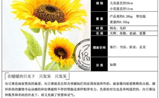 66朵向日葵鲜花的寓意（66朵向日葵花语）