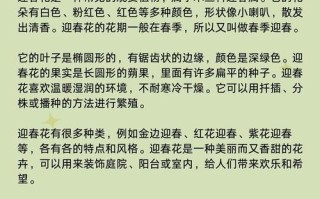 迎春花怎么养（迎春花怎么养才能养得更旺盛）