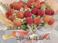 99朵白荔枝鲜花花束寓意（99朵白荔枝鲜花花束寓意和象征）