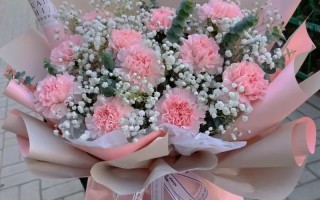 康乃馨送花的讲究（康乃馨 送人）