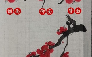 如何使梅花在元旦开花（梅花怎么办）