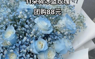 11只星辰大海鲜花花语（星辰大海玫瑰花）