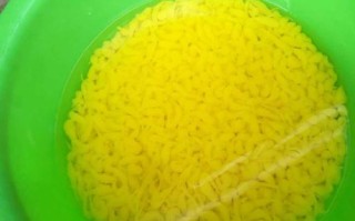 别再买肥料了（买肥料找我）
