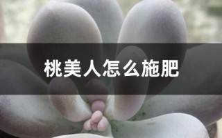 桃美人怎么施肥（桃美人用什么肥料）