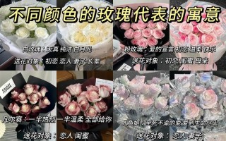 追求送花的讲究（送花追求对象怎么说）