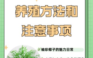 袖珍椰子怎么过冬（袖珍椰子过冬会冻死吗）