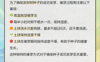 发财树种子怎样播种（发财树种子怎么播种）