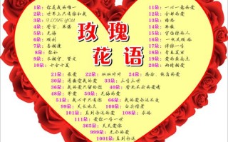 11朵鲜花代表寓意（11朵鲜花代表寓意什么）