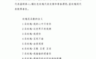 11朵鲜花大花束寓意着什么（11朵鲜花的花语）