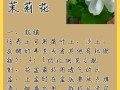 茉莉花怎么养开花多（茉莉花怎么养会开花）