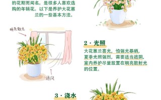 刚买回家的花应该怎么养（刚买来的花怎么处理）