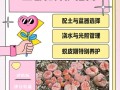 生石花怎么养长得快（生石花要怎么养才能越养越好）