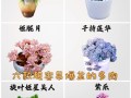 子持莲华秋天怎么养（子持莲华冬季怎么养）