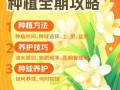 香雪兰用什么土种植（香雪兰用啥土栽好）