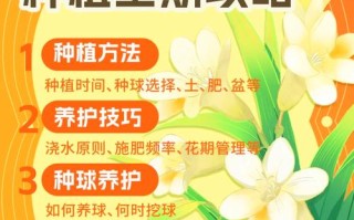香雪兰用什么土种植（香雪兰用啥土栽好）