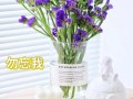 爱意永恒鲜花花语（花语永恒的爱是什么花）