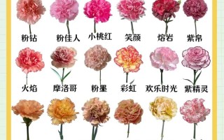 3.7女神节送花的讲究（女神节 送花）