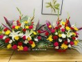 送花种类的讲究（送花都代表什么）