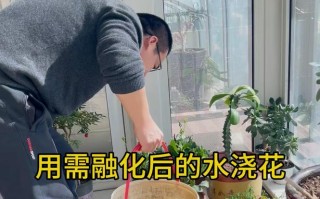 养花前烫一烫土（养花的土用开水烫一遍可以吗）