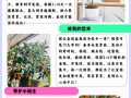 金桔什么时候施肥（金桔什么时候施肥比较好盆栽呢）