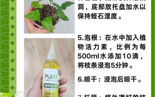 茉莉花怎么繁殖（茉莉花繁殖技术）