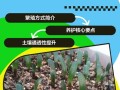 如何让君子兰繁殖小苗（怎样让君子兰生出小芽）