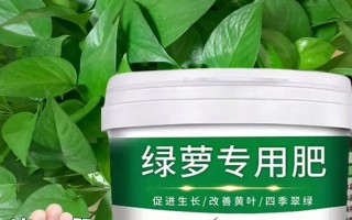 绿萝施什么肥料长得好（绿萝什么肥料比较好）