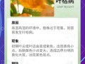 浇水时多做1件事（我想问一下浇水）