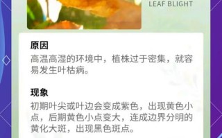 浇水时多做1件事（我想问一下浇水）
