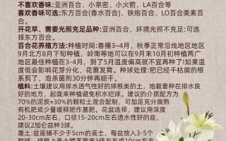 百合花怎么养才不死（百合花怎么才能养活）