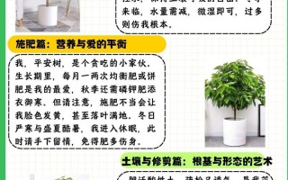 平安树的养殖方法和注意事项（平安树的养殖方法和注意事项大全）