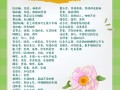 送花品种的讲究（送花种类的含义）