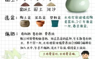 富贵竹需要怎么去养（富贵竹要怎么养啊）