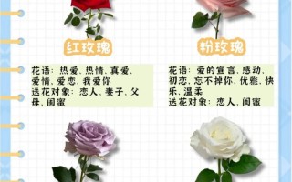 9朵鲜花什么寓意好养（9朵花语是什么）