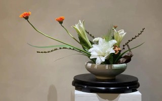 鲜花插花花篮花语寓意和象征（插花花艺花篮）