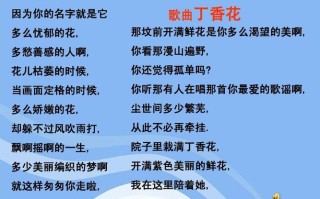 鲜花花语花影（各种常见鲜花花语）