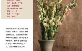 晚香玉鲜花花语（晚香玉的花有毒吗）