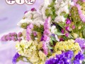 勿忘我鲜花花语（勿忘我鲜花代表什么）