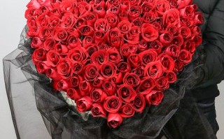 520鲜花寓意（520鲜花语录）