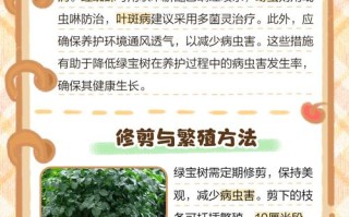 绿宝树冬天怎么养（绿宝树冬天会死吗）