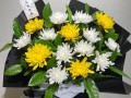 送花束的讲究（送花束的讲究是什么）