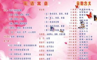 19朵鲜花数量寓意（19朵鲜花什么意思）