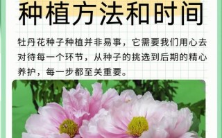 鲁菏红的繁殖方法（鲁硕红是一季花吗）