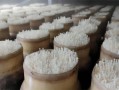 金针菇的根怎么种植（金针菇的根怎么种植没有小苏打）