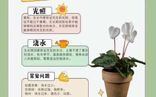 仙客来秋天怎么养（仙客来立秋以后怎么养护）